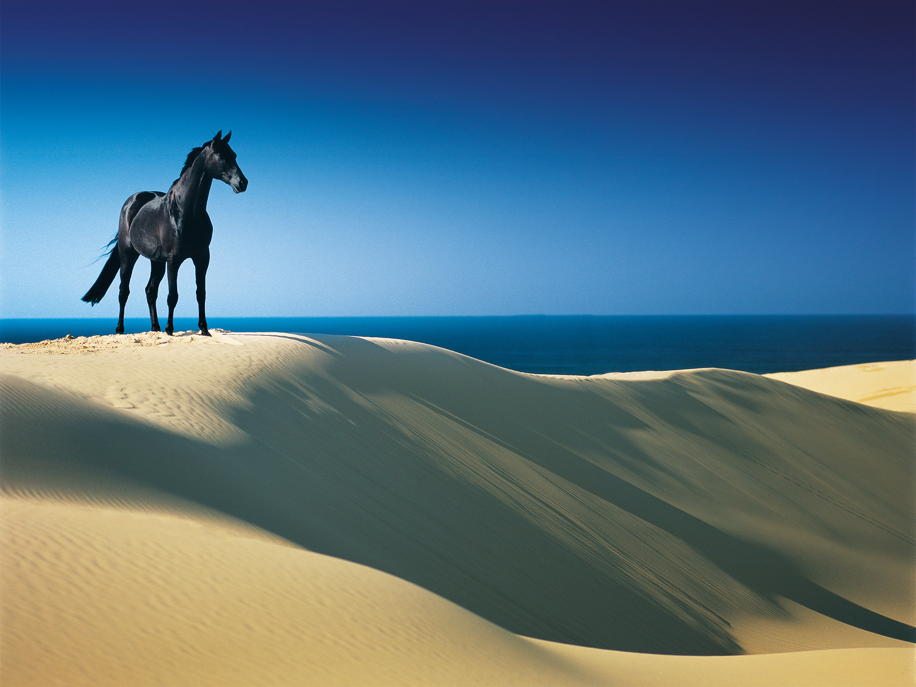 CB_BLACK-HORSE-DUNE_O52