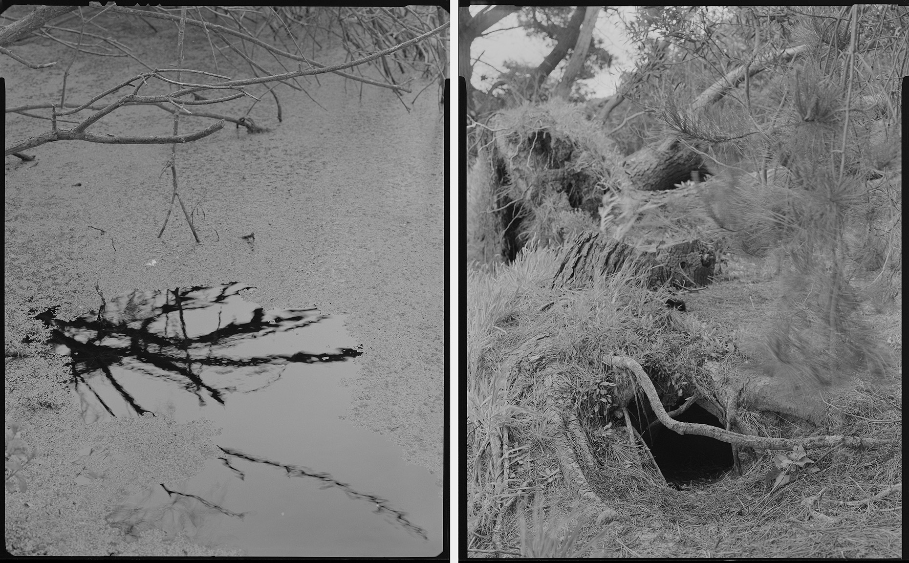 CB_WOMBATHOLE_DIPTYCH_72W