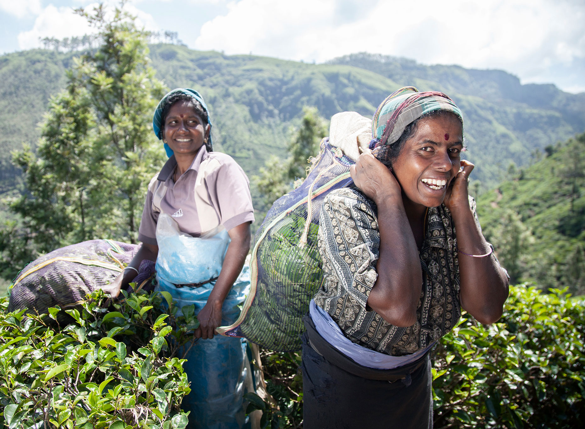 CB_WV_2-TEA-PICKERS_0395