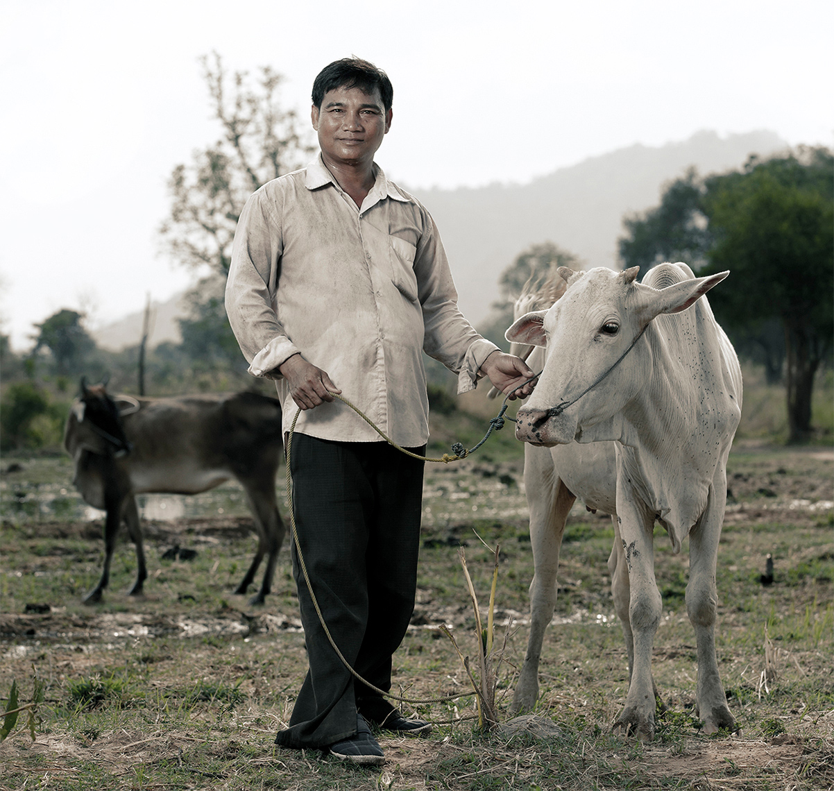 CB_WV_MAN-COW_423