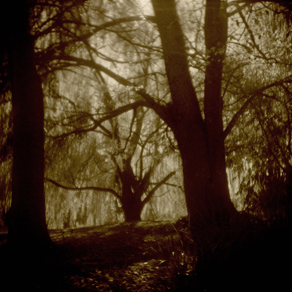 ELSTERNWICKPARK_C_48603_W